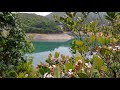 Quarry Bay Tree Walk ~ Tai Tam