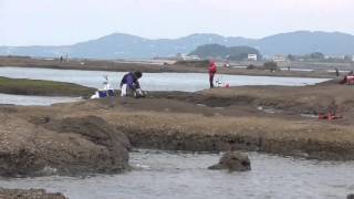 １２/６日曜日　田辺市天神崎、元島の釣人