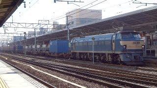 JR貨物 EF66-36 貨物列車 (1252レ EF66 0番台,ゼロロク) JR東海 名古屋駅