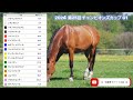 2024 年 チャンピオンズカップ g1 丨第25回丨予想　🦄多頭買子✨