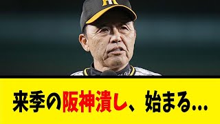 来季の阪神潰し、始まる...【反応集】【野球反応集】【なんJ なんG野球反応】【2ch 5ch】