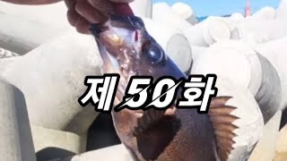 포항낚시!! 제 50화 대낮에 왕사미!?