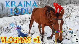 VLOGMAS #1 IDZIEMY NA SPACER DO KRAINY LODU !