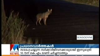 മയിലുകൾ പെരുകുന്നത് എന്തുകൊണ്ട്?Jackal -Kurukkan faces extinction:  Manorama Kazhcha program