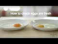 How To Tell If Eggs Are Fresh | Good Housekeeping UK