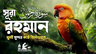 পৃথিবীর সবচেয়ে সুন্দর তেলাওয়াত সূরা আর-রহমান (سورة الرحمن) |  ALAA AQEL