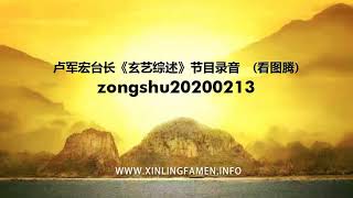 心灵法门 zongshu20200213 - 卢军宏台长《玄艺综述》节目录音  (看图腾)