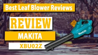 Makita XBU02Z 18V X2 LXT Blower Tool Review - Best Budget Leaf Blower