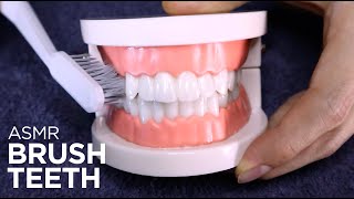 ASMR | Brush your teeth before sleep 🦷🦷🦷 (No Talking)