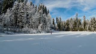 Crane Flat  - Yosemite - 12.25.24