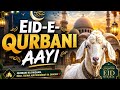 🌙 Eid-e-Qurbani Aayi | Beautiful Eid ul Adha Nasheed 2026 | Heart Touching Eid Song 🐐✨