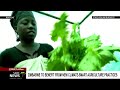Zimbabwe set to benefit from new climate-smart agriculture practices