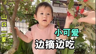 黑娜醬在日本農村的幸福生活：吃完飯滿村跑，以後長大高個！