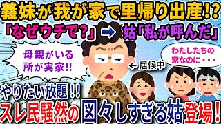 【2ch キチ】同居の姑が義妹の里帰り出産を勝手に決めていた。私「何も聞いてない」→姑「ここは私の家なんだから義妹の家でもあるでしょ」・・・ってお前の家じゃない！【2ch修羅場・ゆっくり解説】