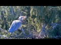 2015 heron cam launch video