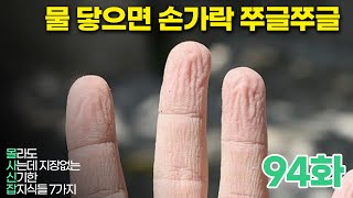 왜 이렇게 되는지 아는 사람 ? (몰사신잡 94화)