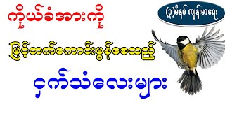 ကိုယ့်ခံအားကောင်းစေသည့် ကျေးငှက်သံများ ၊ HELATH BENEFIT OF BIRD'S SING LISTNEING