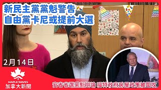 【2月10日 加拿大新聞】新民主黨黨魁警告 自由黨卡尼或提前大選| 安省省選黨魁辯論 福特政府房屋政策被圍攻| 加航拒就行李延誤賠償 告上聯邦法院| 士嘉堡奪命車禍 45歲男子被控多項罪名