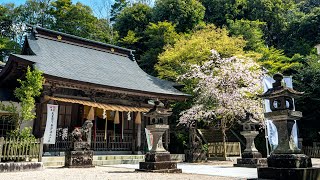 伊萬里神社 Imari Jinja