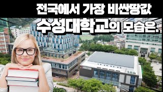 Visit Korea University to learn about Suseong University in Daegu, Gyeongsangbuk-do