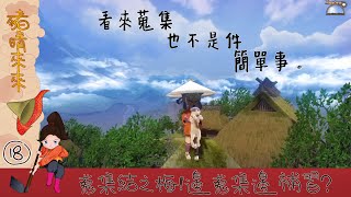 【NS天穗咲稻姬】EP18 蒐集結之梅！邊蒐集邊補習？ 01/24｜豬晴LIKE LIVE