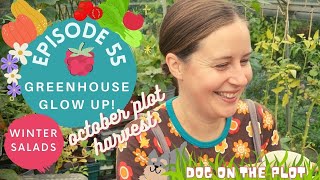 Ep55: Preparing the greenhouse for winter harvests