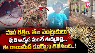 Tirumala Tirupathi Lakshita Latest Updates || ఆ పొదల్లో కూర్చొని చి_న్నారిని తి_నేసింది.. || SumanTV