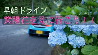 【HONDA S660】屋根を開けて早朝ドライブ！紫陽花見てきました！！