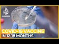 COVID-19 vaccine could be ready in 12-18 months: US top scientist Fauci