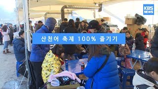 [KBS뉴스춘천] 산천어 축제 100% 즐기기