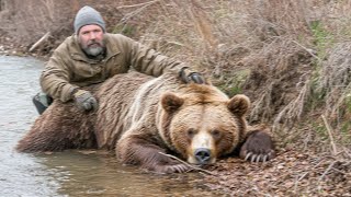 Охотник Нашел Мертвого Гризли, и Вот Что Произошло Дальше