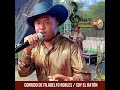 corrido de filadelfo robles soy el ratón