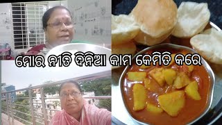 ମୋର ନୀତି ଦିନିଆ କାମ କେମିତି କରେ ||mamata kitchen odia ||