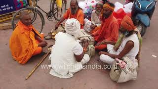 Sadhu chillum party: Sadhus or Hindu ascetics camp and smoke chillum at Haridwar Kumbh Mela 2021