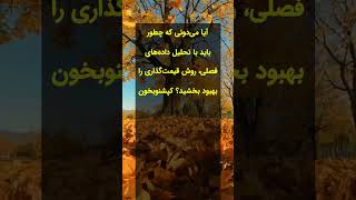 آیا می‌دونی که چطور باید با  #تحلیل_داده‌های_فصلی، روش_قیمت‌گذاری را بهبود بخشید؟ #کپشن_مهم  #فروش