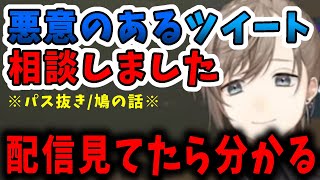 【注意喚起・お願い】もう運営に相談したから安心して！パス抜き鳩見てるって情報で来た人がいても優しくして欲しい【にじさんじ/叶】