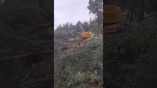 Tigercat LS855 in Southern Oregon