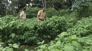 വിശ്രമവേളകൾ ആനന്ദകരമാക്കി പൊലിസ്; കാക്കിക്കുള്ളിലെ കർഷകർക്ക് ആദരം