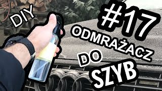 JAK TA LALA: odcinek 17# | DIY | Jak zrobić odmrażacz do szyb samemu?