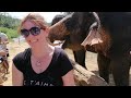 vlog 63 elephant sanctuary krabi thailand