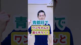 【ペットと一緒に暮らせる介護施設】#１ 滋慶学園グループ特別養護老人ホーム青都荘 #shorts #介護  #犬  #tiktok