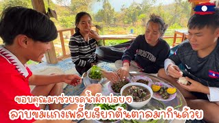 ลาบขมแกงเพลี้ยเรียกต้นตาลมากินด้วยขอบคุณมาช่วยรดน้ำผักบ่อยๆ|ToiyYoiy