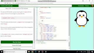 Basic CSS Create a custom CSS Variable free code camp Dani
