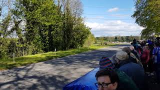 2019 TANDRAGEE 100