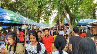 Boat racing festival ບຸນຊ່ວງເຮືອບ້ານຕົ້ນແຫນ 2023 ♡ งานแข่งเรือบ้านต้นแหน, เมืองไชบูลี, สะหวันนะเขต