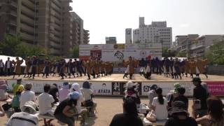 うらじゃ２０１６　翔舞志　下石井公園 一日目　４ｋ