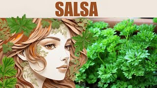 Salsa: o tempero que cura! Descubra os 14 benefícios surpreendentes desta plantinha poderosa