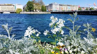 Experience  Geneva's international significance