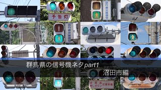 群馬県の信号機ネタ　Part1 《沼田市編》