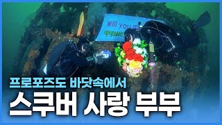 바닷속 풍경에 빠져 부부가 함께 내려온 귀농생활! 매일 산소통을 메고 나가지만 어깨는 가볍기만 한 이유는 바닷속 신비로운 풍경 때문이겠죠?!